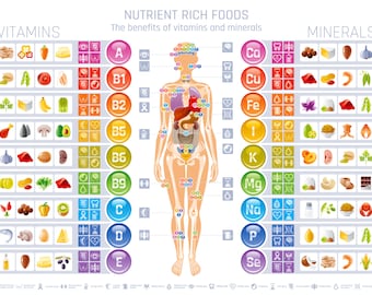 Vitamin and Mineral Chart Digital Poster size 24x18