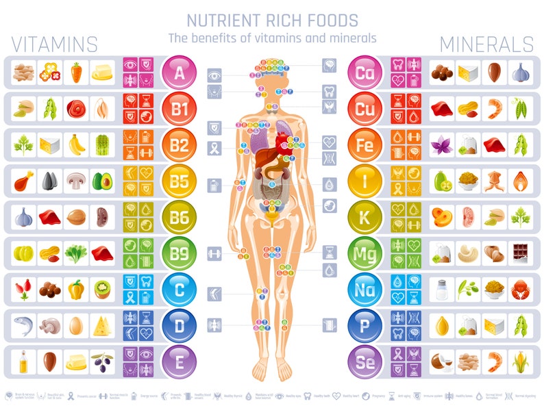 Vitamin and Mineral Chart Digital Poster Size 24x18 Etsy