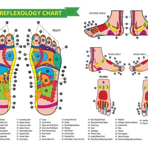 Foot Reflexology Chart Poster Size 24 x 18