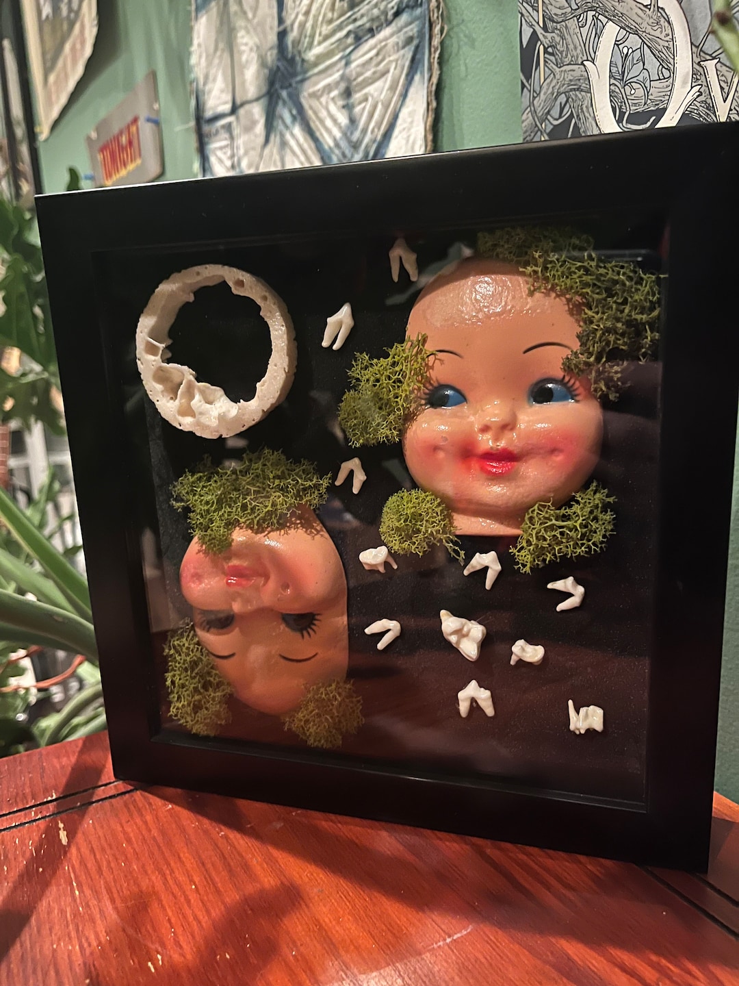 Shadow Box Framed Wall Art Decor Coyote Teeth Cow Horn Core Etsy