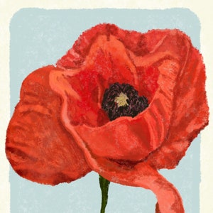 Fleur de pavot illustrée Mini Art Print