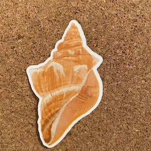 Könnte beinhalten: Eine braune Muschel auf weißem Hintergrund. Die Muschel hat eine spiralförmige Form und eine glatte, glänzende Textur.