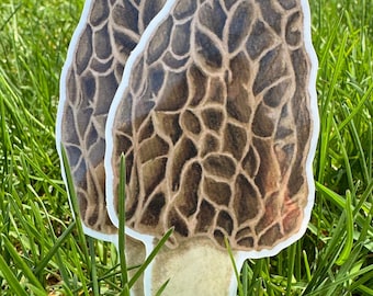 Morel Mushroom Vinyl Sticker | Waterproof, Water Bottle, Laptop, Diecut Sticker | Foraging | Woodsy | Forestry |  Cottage Core | Fungi