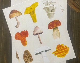 Mushroom Art Print | Cottagecore Illustration, 8x10