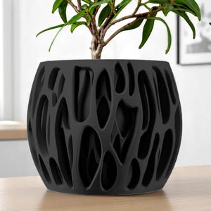 May include: A black, modern-style plant pot with a unique, open-weave design. The pot holds a small plant with green leaves. The pot is sitting on a light-colored wooden surface.