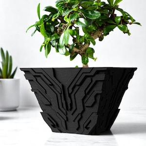 May include: A small bonsai tree with vibrant green leaves sits in a black, geometric-patterned planter. The planter has a unique, angular design. Another small plant in a white pot is visible in the background.
