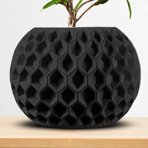 May include: A black, spherical planter with a geometric honeycomb pattern. The planter holds a small plant with green leaves and brown stems. The planter sits on a light brown wooden surface.