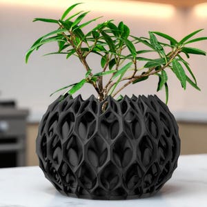 May include: A black, spherical planter with a geometric, openwork design. The planter holds a small green plant with multiple branches and long, slender leaves. The planter sits on a white surface, with a blurred kitchen background.