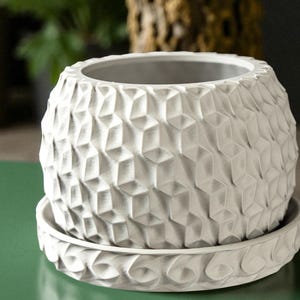 Zeon Planter, Modern Geometric Pot, Drainage, Indoor, Outdoor, Flowerpot, Succulents, Cacti, Snake Plant, Airplant, Home, Office, or Gift
