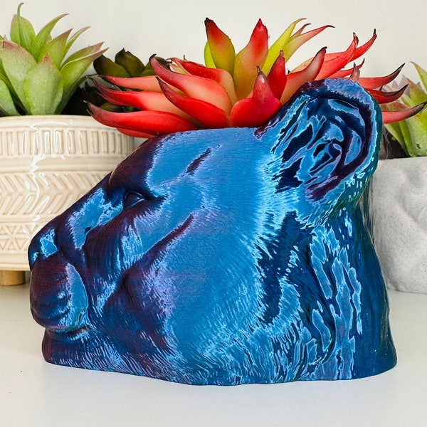 Cougar Planter | Multiple Colors | Giant Succulent Included