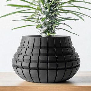 May include: A black, geometric-patterned planter pot holding a green plant with long, slender leaves. The pot has a textured, layered design and sits on a wooden surface against a white background. The plant has a spiky, textured stem.