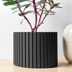 May include: A modern black planter with vertical lines, holding a plant with green and burgundy leaves and red stems. The planter is on a light-colored wooden surface, with a white background and a cream-colored vase.