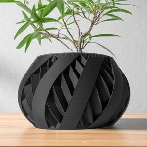 May include: A black, geometric-patterned planter pot holding a small green plant. The pot has a unique design with intersecting bands, creating an open, textured surface. The plant features long, slender green leaves and thin brown stems. The pot sits on a wooden surface.