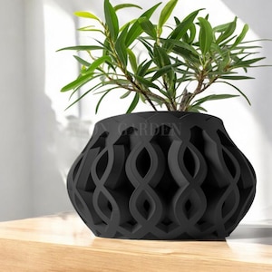 Orbelle Modern Planter, Decorative Flowerpot, Indoor, Outdoor, Succulent, Cacti, Airplant Vase, Desk, Bookshelf, Boho, Home, Office Decor