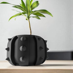 May include: A black, spiky planter pot with a green plant. The pot has a cylindrical shape with rounded edges and cone-shaped spikes. The plant has long, green leaves.
