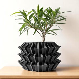 May include: A black, geometric-patterned planter pot holding a small green plant with long, slender leaves. The pot has a layered, angular design and sits on a light-colored wooden surface. The plant's trunk is visible.