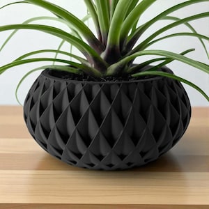 May include: A black, geometric-patterned planter pot holding a green plant with long, slender leaves. The pot has a textured surface with a repeating diamond design. The plant is centered in the pot, which sits on a wooden surface.