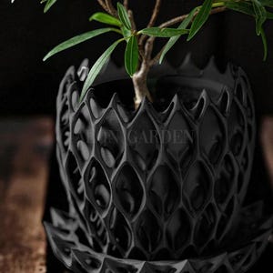 May include: A black, textured ceramic planter with a matching saucer, holding a small green plant. The planter has a unique, geometric design and the text "ON GARDE" is visible on the side.