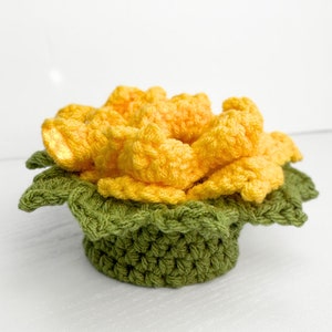 Peut inclure: Un pot de fleurs crochet&eacute; avec une fleur jaune et des feuilles vertes. Le pot est fait de fil et a une surface textur&eacute;e.