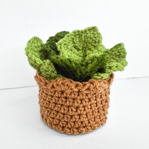 May include: A crocheted succulent plant in a brown pot. The plant is made of green yarn and the pot is made of brown yarn.