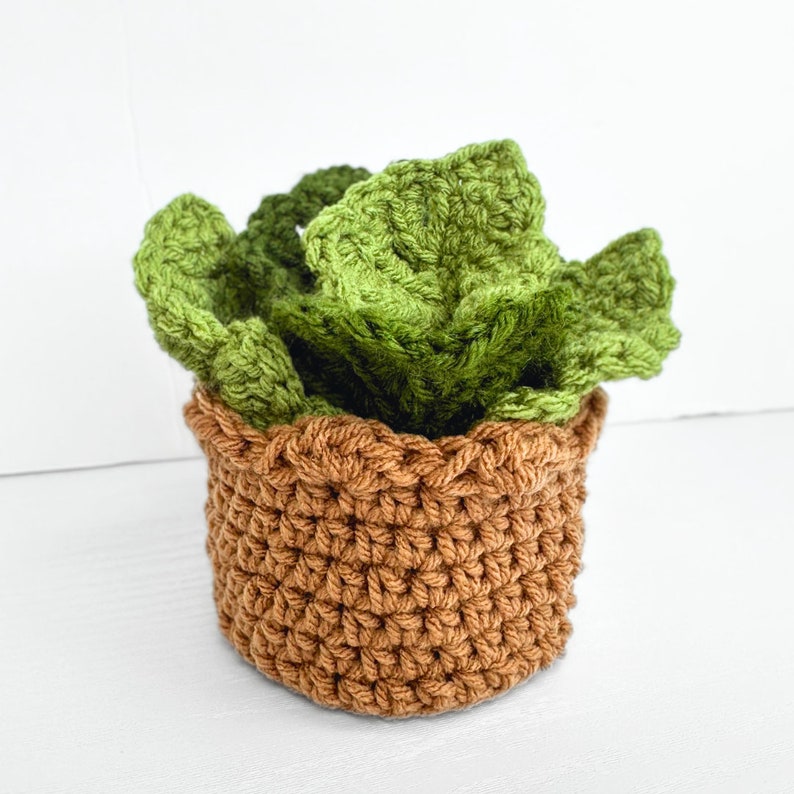 May include: A crocheted succulent plant in a brown pot. The plant is made of green yarn and the pot is made of brown yarn.