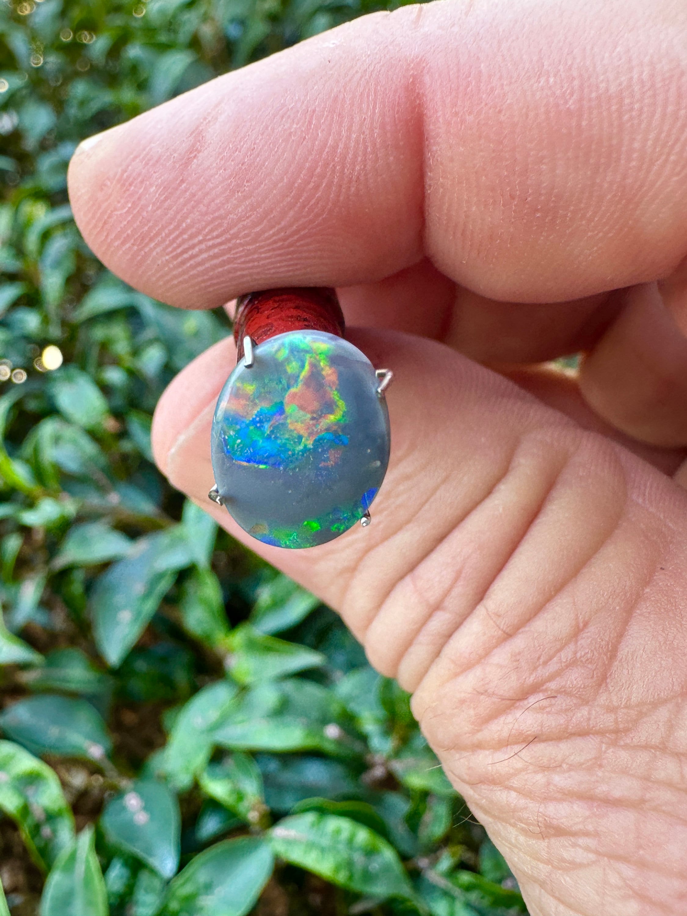 Stunning 2.6ct Lightning Ridge Picture Opal - Natural Australian Gemstone