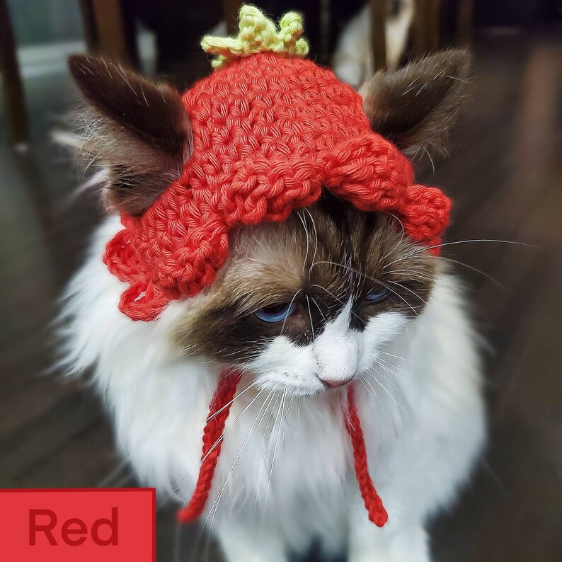 Flower Cat Hat Crochet Hat for Cat or Kitten Cat Gift Etsy