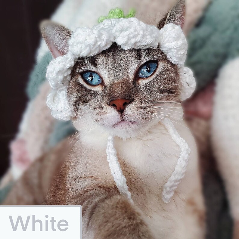 Flower Cat Hat Crochet Hat for Cat or Kitten Cat Gift Etsy