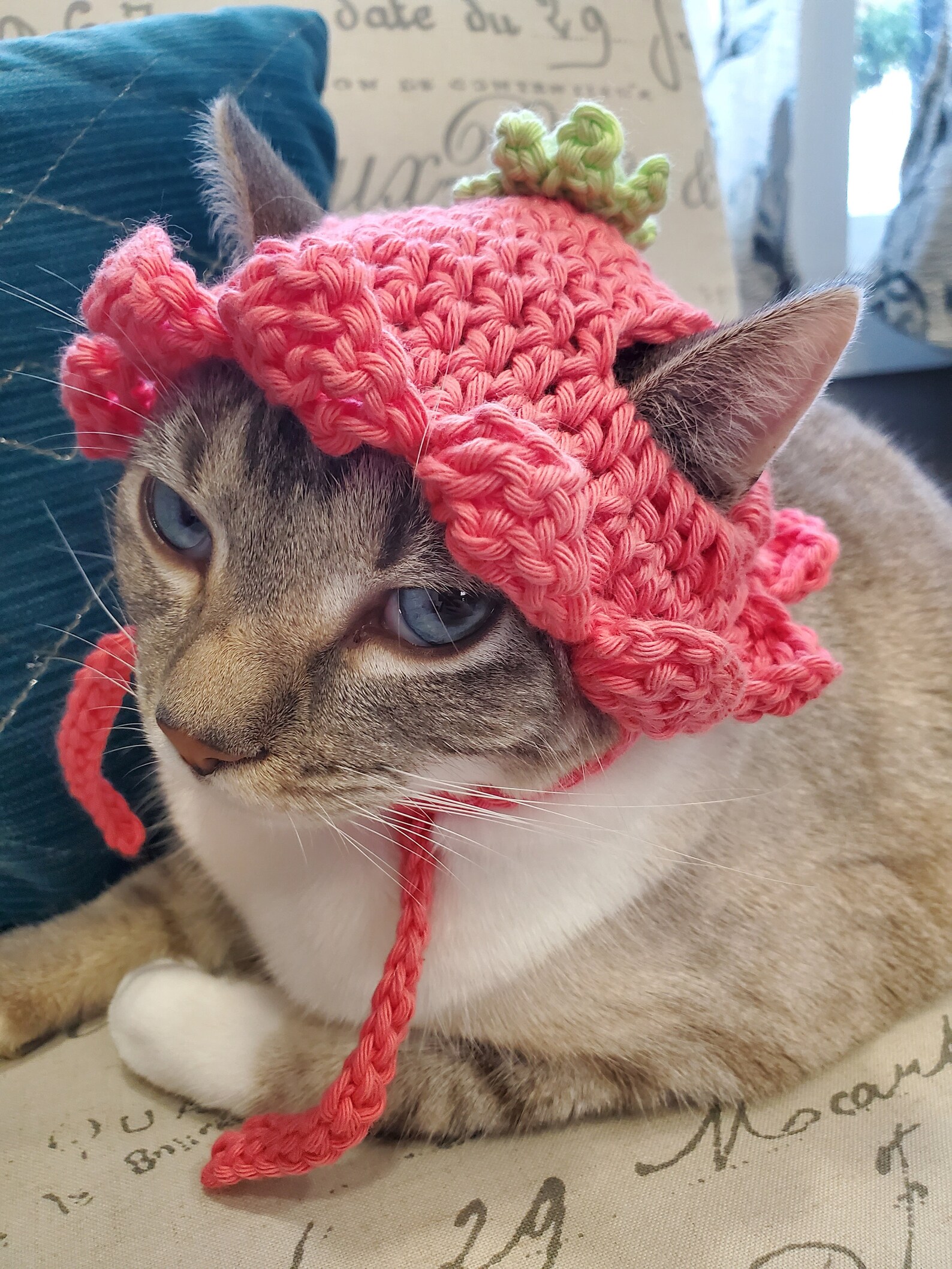 Flower Cat Hat Pattern PDF Only Etsy Canada
