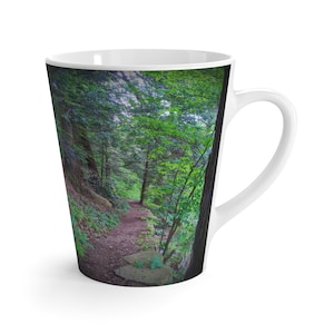 Woodland path & Ferns and moss Latte Drink Mug