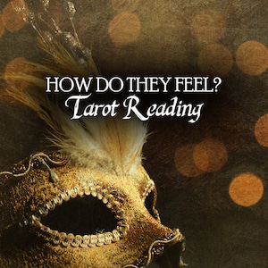SAME DAY How They Feel About You - Tarot Reading