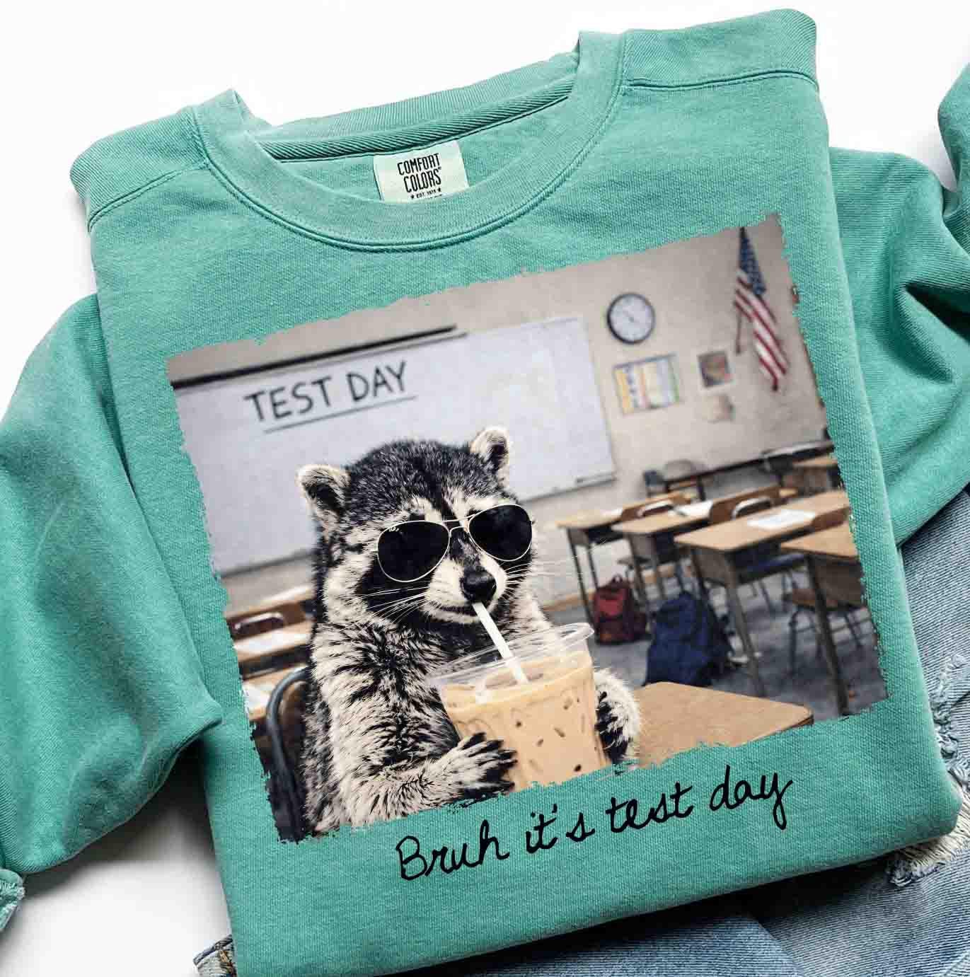 Bruh Its Test Day Png, Funny Raccoon Teacher Shirt Design, Testing ...