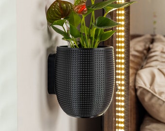 The Grid - Wall Mount Planter with Removable Drip Tray