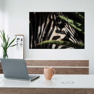 Digitaler Druck, Augenärztin, Optiker, Augenärztin, Augenkunst, Augenärztin, Augenärztin, Augenärztin, Augenärztin, Augenärztin, Augenärztin, Augenärztin, Zebra Kunstdrucke