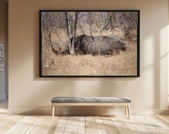 African Rhino Photography Print, Kruger National Park (Digital Download)