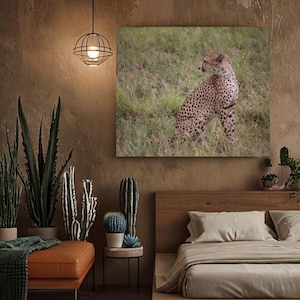 Stunning Wildlife Photography | Digital Download | Instant Wall Art| Cheetah Photography| Cheetah photo| Digital print| Cheetahs| Wildlife