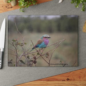 Bird cutting board, Charcuterie board, chopping board, cheese board, custom photo board, for her, kitchen, mothers day, Glass Cutting Board