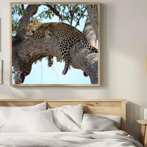 Op de afbeelding: Een ingelijste print met een luipaard die op een tak rust. De gevlekte vacht van de luipaard contrasteert met de getextureerde schors. Het kunstwerk wordt boven een bed getoond en voegt een vleugje natuur toe aan de kamerdecoratie.