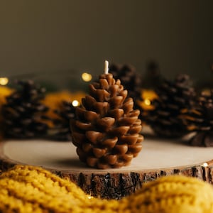 Pinecone Beeswax Candle, Real Pinecone Shaped Candle, Fall Decor Candle, Christmas Home Decor, Thanksgiving Decor, Tableware Decoration