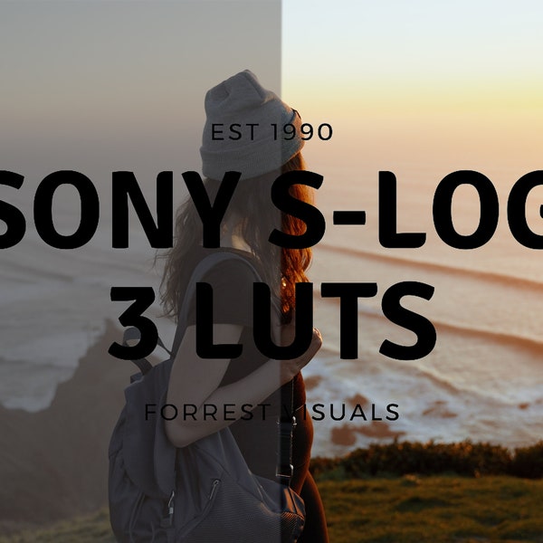 SONY S-LOG3 LUTS