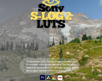 Sony S-Log 2 LUTs | Cinematic Color Grading Presets for Premiere Pro, DaVinci Resolve | Sony Alpha