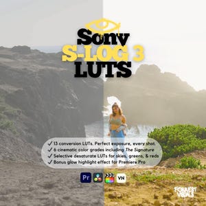 Sony S-Log 3 LUTs | Cinematic Color Grading Presets for Premiere Pro, DaVinci Resolve | FX3 A7S III