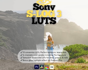 Sony S-Log 3 LUTs | Cinematic Color Grading Presets for Premiere Pro, DaVinci Resolve | FX3 A7S III