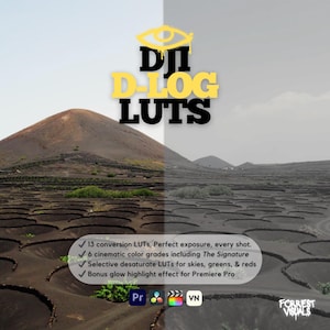 DJI D-Log LUTs | Cinematic Color Grading Presets for Drone Footage | Premiere Pro, DaVinci Resolve