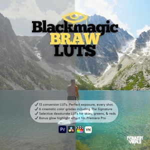 Blackmagic BRAW LUTs | Cinematic Color Grading Presets for DaVinci Resolve | Pocket 4K 6K & URSA