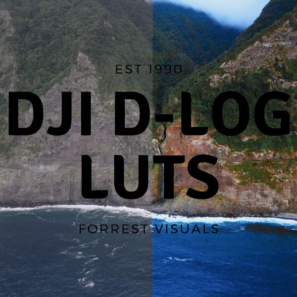 DJI D-LOG LUTS