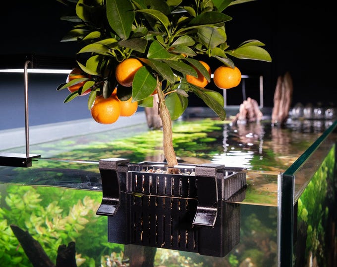 Gallery Detail: 3D Printed Octagon Aquarium Planter Aquaponics Fish Tank Decor