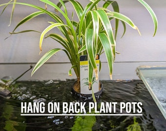 Aquarium hang on back plant pots for semi-aquatic plants