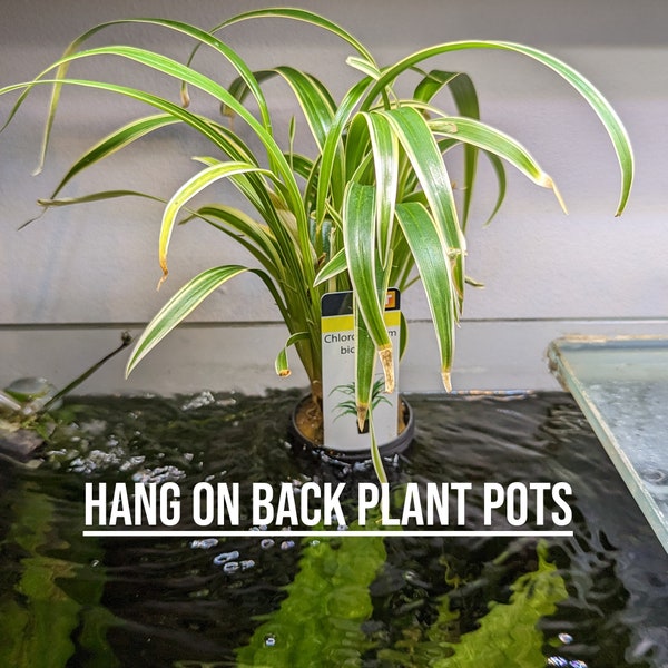 Aquarium hang on back plant pots for semi-aquatic plants