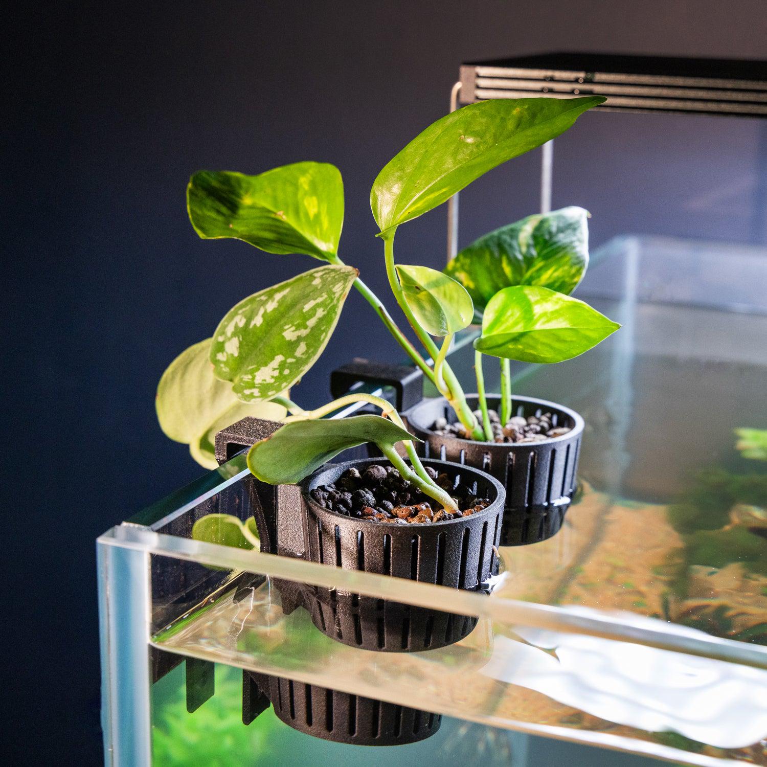 Aquarium plant pots - Etsy.de